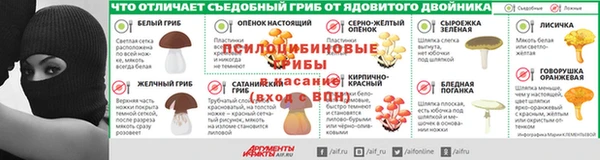 PSILOCYBIN Бородино