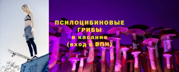 PSILOCYBIN Бородино