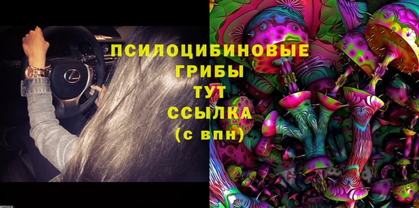 дурь Бугульма