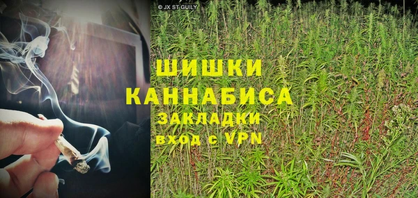PSILOCYBIN Бородино