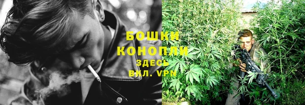 PSILOCYBIN Бородино