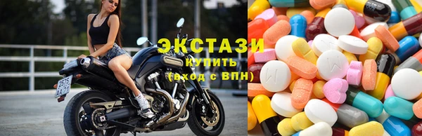 PSILOCYBIN Бородино