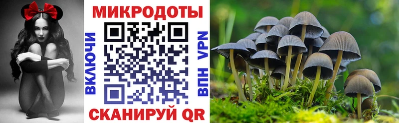 Псилоцибиновые грибы Psilocybine cubensis  Купить где  Дедовск 